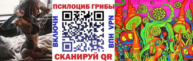 Псилоцибиновые грибы GOLDEN TEACHER Чернушка
