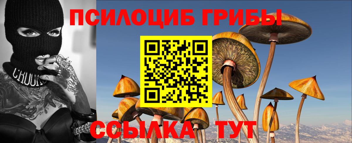 Галлюциногенные грибы мухоморы Чернушка