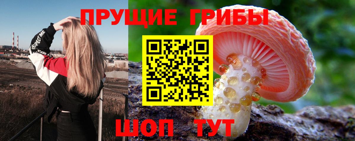 Чернушка  Бошки Шишки  Меф кристаллы  Вход с VPN  Гашиш  Cocaine  ТГК 