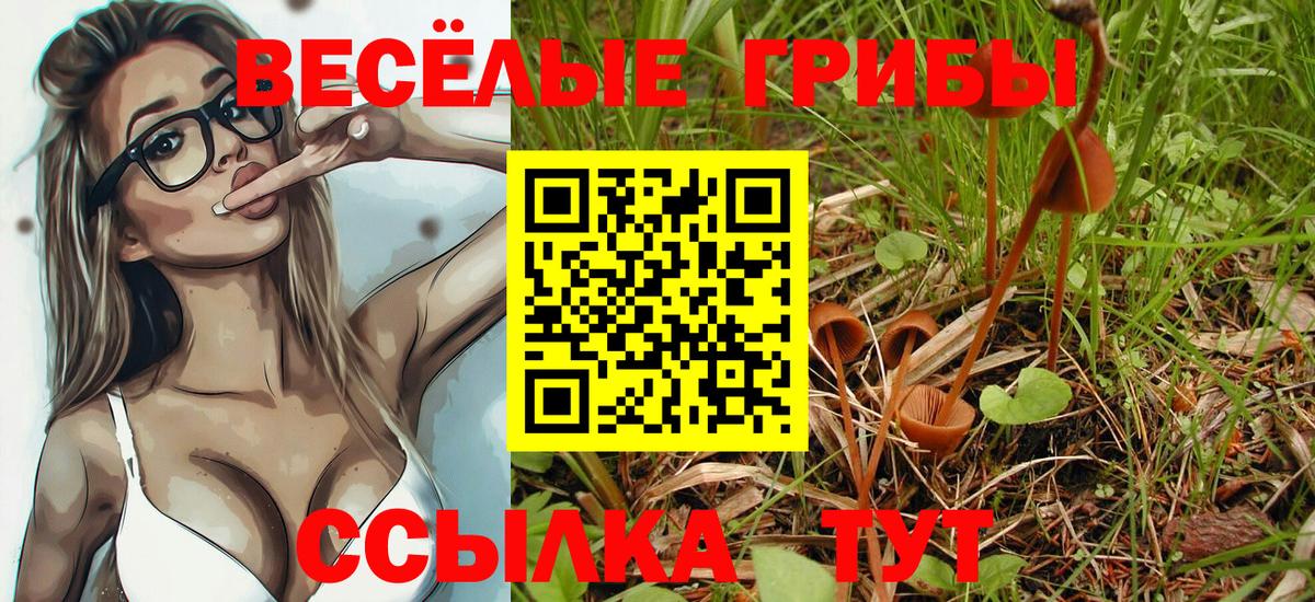 Галлюциногенные грибы мицелий  Псилоцибиновые грибы мухоморы  Чернушка  Вход с VPN 