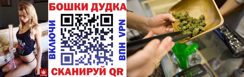 как найти наркотики  Чернушка  Шишки марихуана индика 